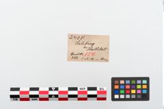 Etiketten zu Bronzeanhänger (NHMW-PRAE-024081)